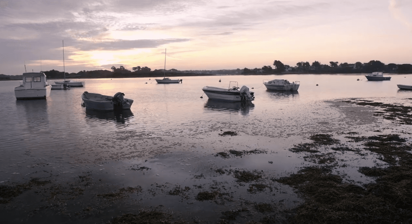 Meeting Félix: the story of a career change at Le Moulin des Oies Campsite